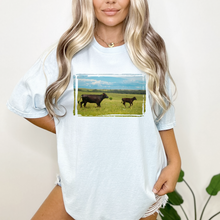 Load image into Gallery viewer, Cow Blue Sky (D517)