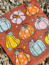 Load image into Gallery viewer, Colorful Pumpkins