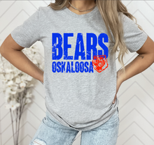 Load image into Gallery viewer, Bears Oskaloosa Distressed (M136)