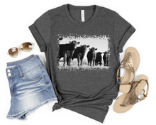 Load image into Gallery viewer, Cows