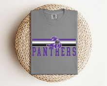 Load image into Gallery viewer, Panthers Lines Above