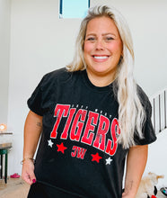 Load image into Gallery viewer, Tigers Distressed Stars (M151)
