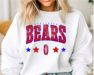 Bears Distressed Stars (M151)