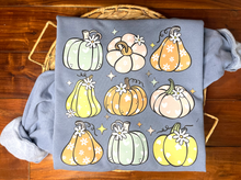 Load image into Gallery viewer, Colorful Pumpkins
