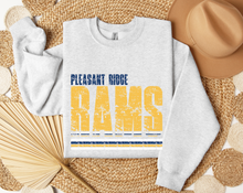 Load image into Gallery viewer, Pleasant Ridge Rams Vintage
