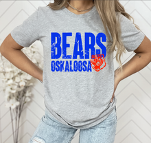 Load image into Gallery viewer, Bears Oskaloosa Distressed (M136)
